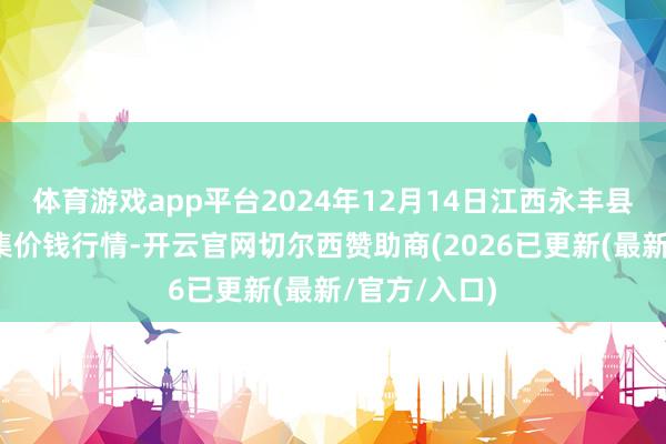 体育游戏app平台2024年12月14日江西永丰县蔬菜批发市集价钱行情-开云官网切尔西赞助商(202