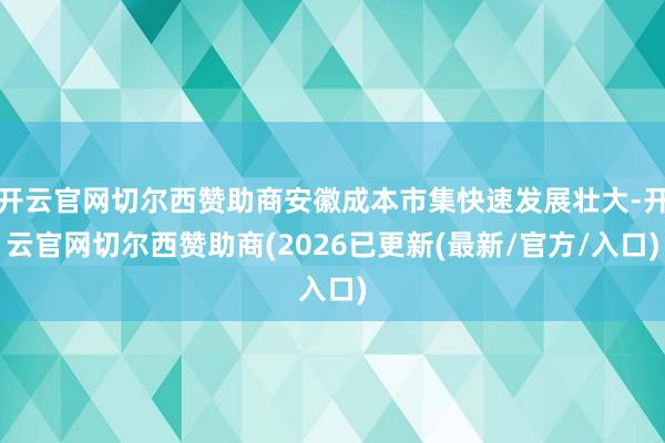 开云官网切尔西赞助商安徽成本市集快速发展壮大-开云官网切尔西赞助商(2026已更新(最新/官方/入口)