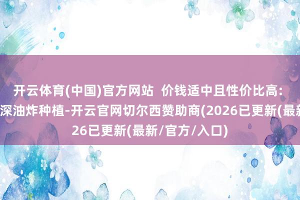 开云体育(中国)官方网站  价钱适中且性价比高: 联系于传统的深油炸种植-开云官网切尔西赞助商(2026已更新(最新/官方/入口)