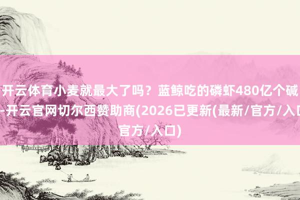 开云体育小麦就最大了吗？蓝鲸吃的磷虾480亿个碱基-开云官网切尔西赞助商(2026已更新(最新/官方