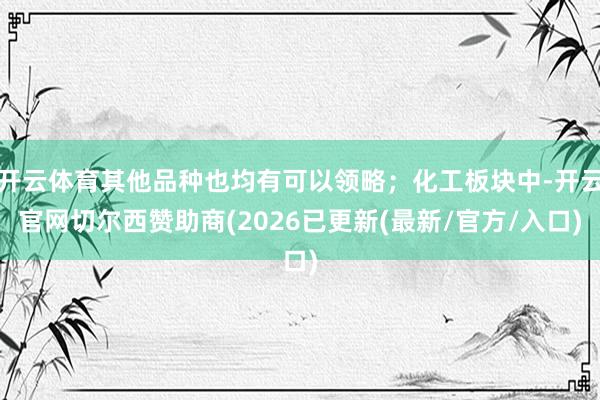 开云体育其他品种也均有可以领略；化工板块中-开云官网切尔西赞助商(2026已更新(最新/官方/入口)
