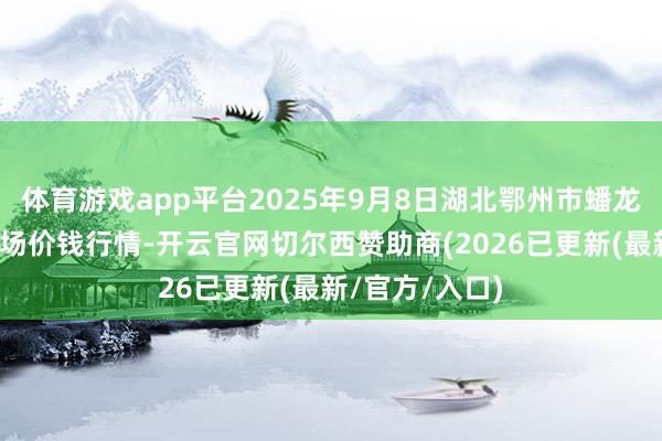 体育游戏app平台2025年9月8日湖北鄂州市蟠龙农产物批发商场价钱行情-开云官网切尔西赞助商(2026已更新(最新/官方/入口)