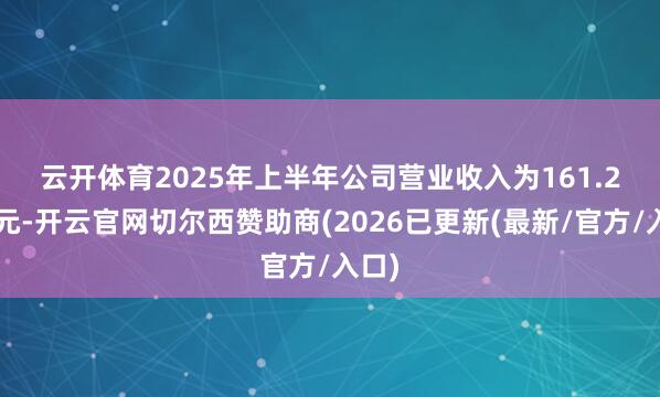 云开体育　　2025年上半年公司营业收入为161.29亿元-开云官网切尔西赞助商(2026已更新(最新/官方/入口)
